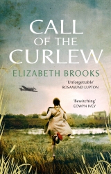 Book cover of Call of the Curlew by Elizabeth Brooks
