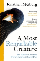 Book cover of A Most Remarkable Creature by Jonathan Meiburg