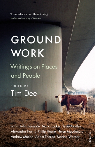 Book cover of Ground Work by Tim Dee
