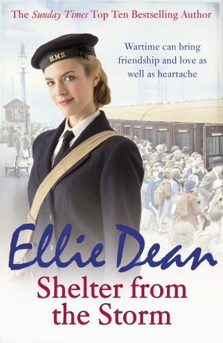 Book cover of Shelter from the Storm by Ellie Dean