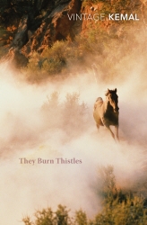 Book cover of They Burn Thistles by Yashar Kemal