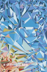 Book cover of A Different Sea by Claudio Magris