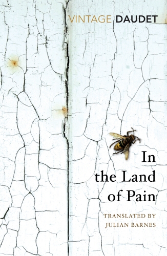 Book cover of In the Land of Pain by Alphonse Daudet