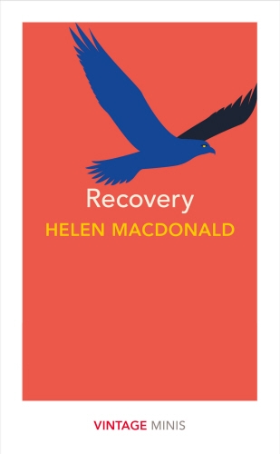Book cover of Recovery by Helen Macdonald