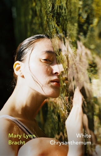 Book cover of White Chrysanthemum by Mary Lynn Bracht