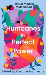 Book cover of Hurricanes in Perfect Power by Various