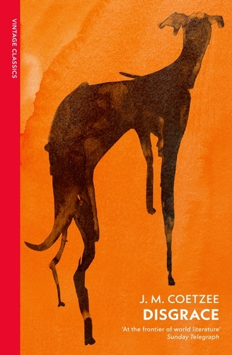 Book cover of Disgrace by J M Coetzee