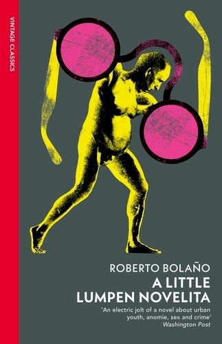 Book cover of A Little Lumpen Novelita by Roberto Bolaño