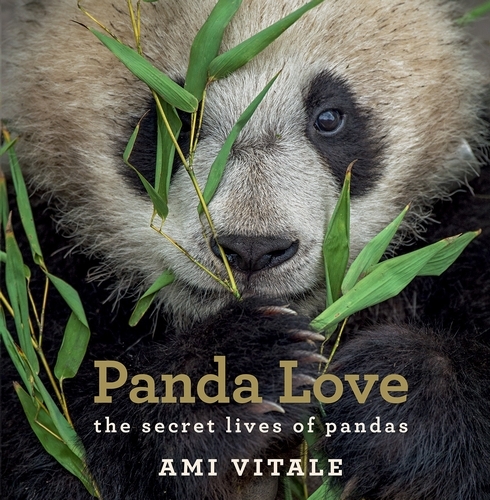 Book cover of Panda Love by Ami Vitale
