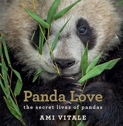 Book cover of Panda Love by Ami Vitale