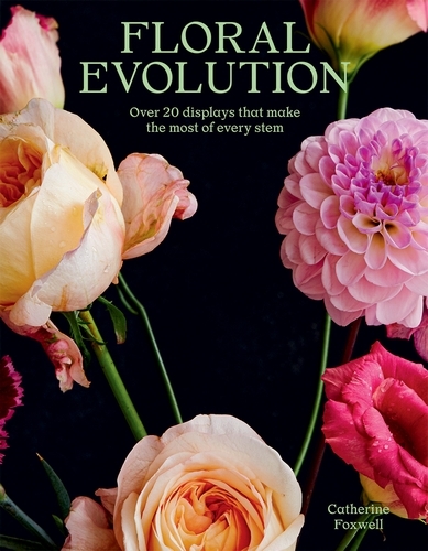 Book cover of Floral Evolution by Catherine Foxwell