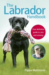 Book cover of The Labrador Handbook by Pippa Mattinson