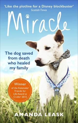 Book cover of Miracle by Amanda Leask