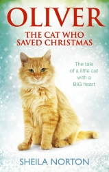 Book cover of Oliver The Cat Who Saved Christmas by Sheila Norton