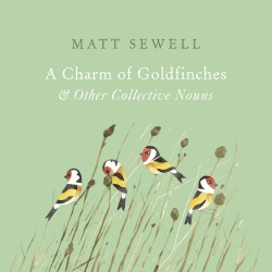Book cover of A Charm of Goldfinches and Other Collective Nouns by Matt Sewell