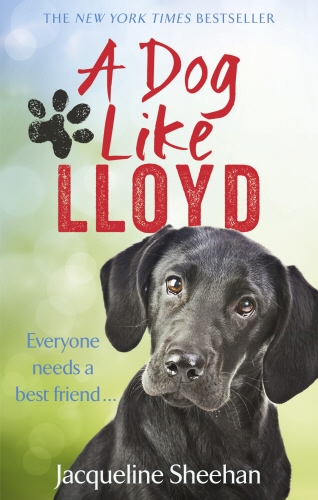 Book cover of A Dog Like Lloyd by Jacqueline Sheehan