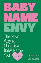 Book cover of Baby Name Envy by SJ Strum