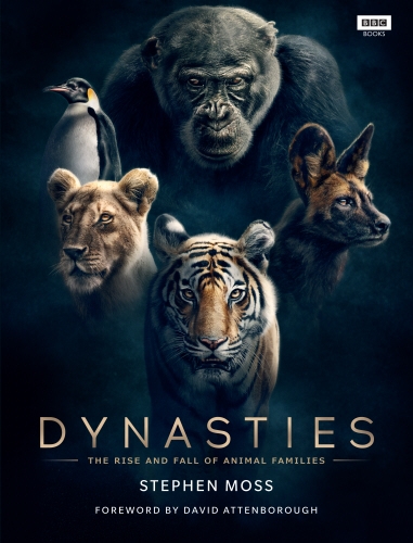 Book cover of Dynasties by Stephen Moss