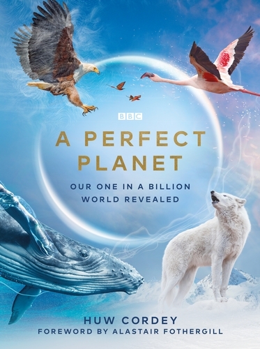 Book cover of A Perfect Planet by Huw Cordey