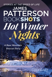 Book cover of Hot Winter Nights by Codi Gary, James Patterson