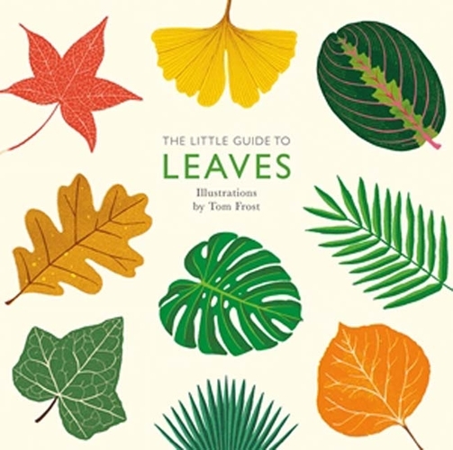 Book cover of The Little Guide to Leaves by Alison Davies