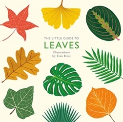 Book cover of The Little Guide to Leaves by Alison Davies