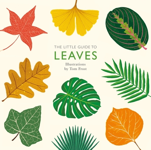 Book cover of The Little Guide to Leaves by Alison Davies