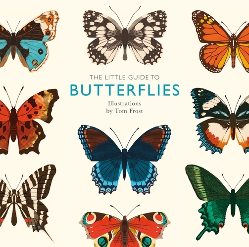 Book cover of The Little Guide to Butterflies by Alison Davies