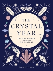 Book cover of The Crystal Year by Claire Titmus