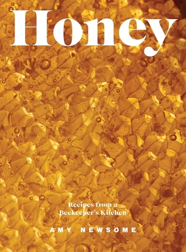 Book cover of Honey by Amy Newsome