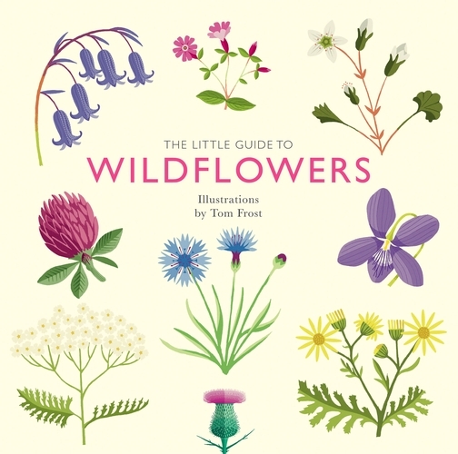 Book cover of The Little Guide to Wildflowers by Alison Davies