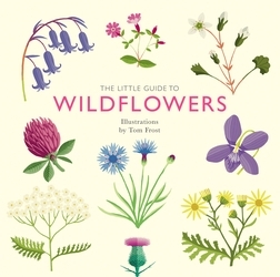 Book cover of The Little Guide to Wildflowers by Alison Davies
