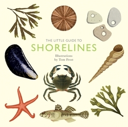 Book cover of The Little Guide to Shorelines by Alison Davies
