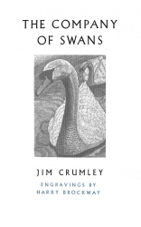 Book cover of The Company of Swans by Jim Crumley
