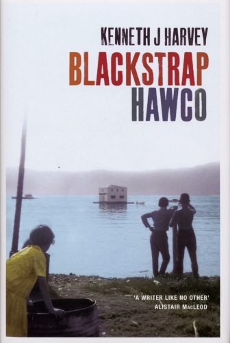 Book cover of Blackstrap Hawco by Kenneth J Harvey