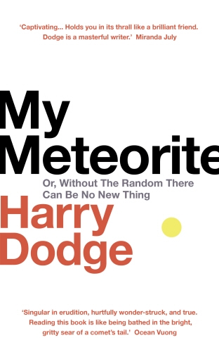 Book cover of My Meteorite by Harry Dodge
