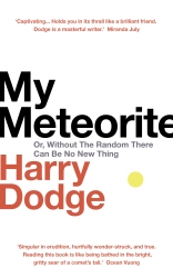 Book cover of My Meteorite by Harry Dodge