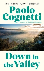 Book cover of Down in the Valley by Paolo Cognetti