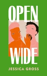 Book cover of Open Wide by Jessica Gross