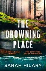 Book cover of The Drowning Place by Sarah Hilary