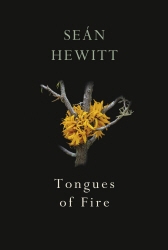 Book cover of Tongues of Fire by Seán Hewitt