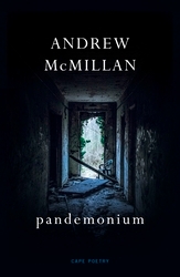 Book cover of pandemonium by Andrew McMillan