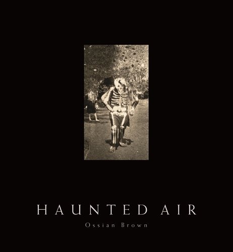 Book cover of Haunted Air by Ossian Brown