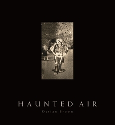 Book cover of Haunted Air by Ossian Brown