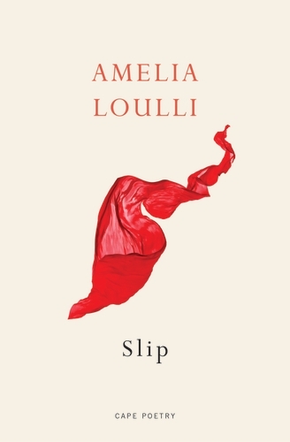 Book cover of Slip by Amelia Loulli