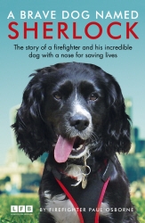 Book cover of A Brave Dog Named Sherlock by Paul Osborne