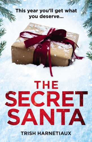 Book cover of The Secret Santa by Trish Harnetiaux