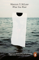 Book cover of What You Want by Maureen N. McLane