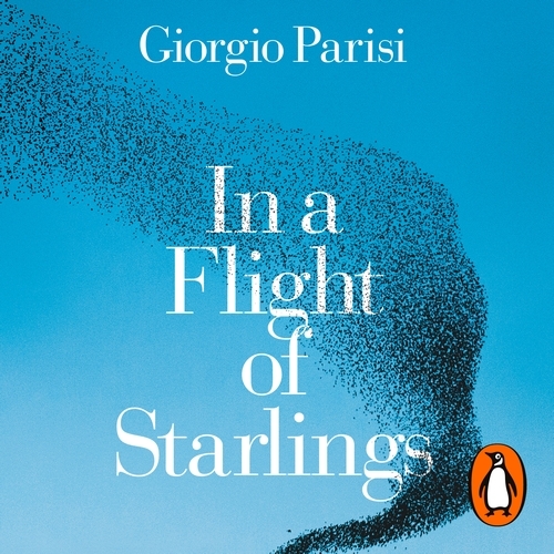 Book cover of In a Flight of Starlings by Giorgio Parisi