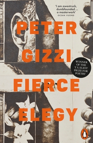 Book cover of Fierce Elegy by Peter Gizzi